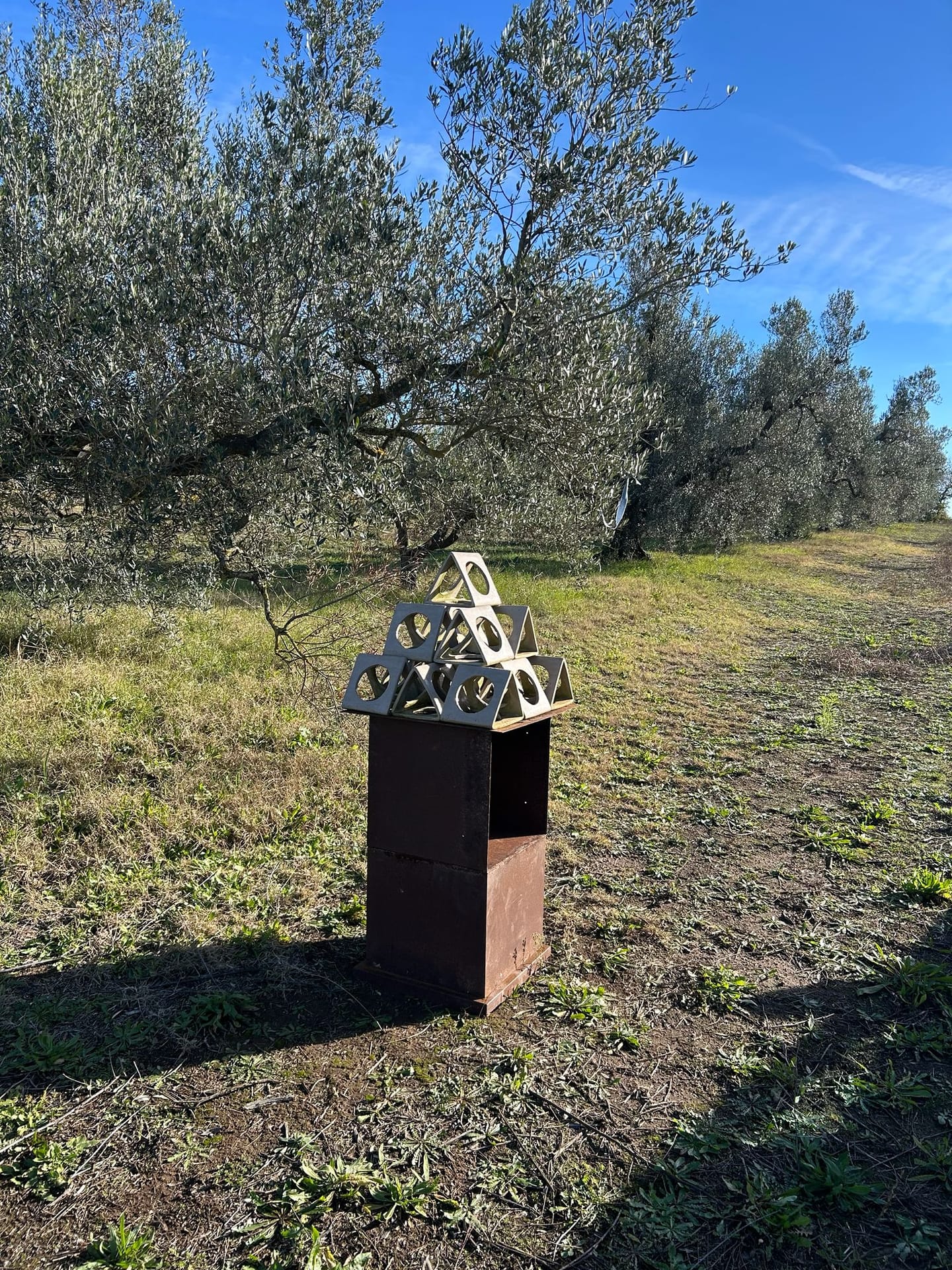 Installazione d'arte tra gli ulivi nel territorio di Canino