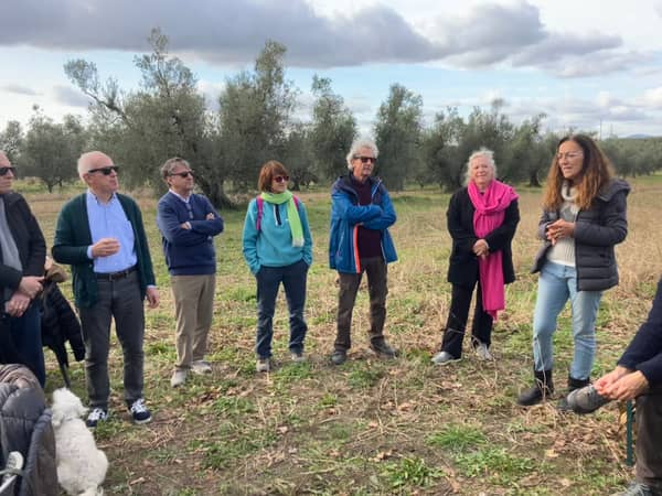 A-TRA-VERSO — Art Walk in un mare di ulivi — foto 2