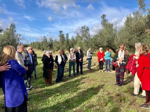 A-TRA-VERSO — Art Walk in un mare di ulivi — foto 3