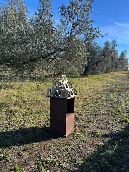 A-TRA-VERSO — Art Walk in un mare di ulivi — foto 4