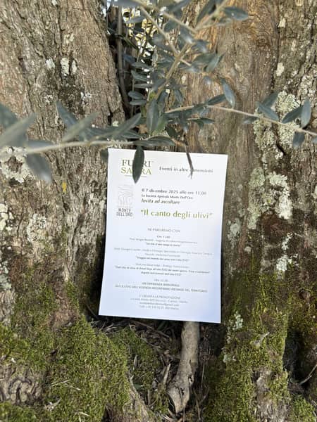 Il Canto degli Ulivi — Conversazioni ed esperienze sensoriali — foto 1