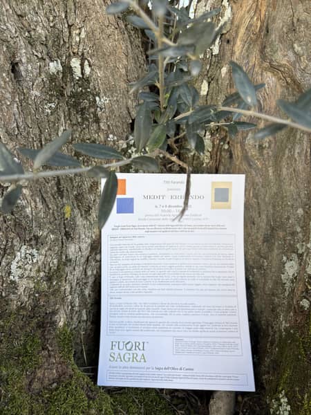 Medit Errando — Meditazioni sul Mediterraneo — foto 4